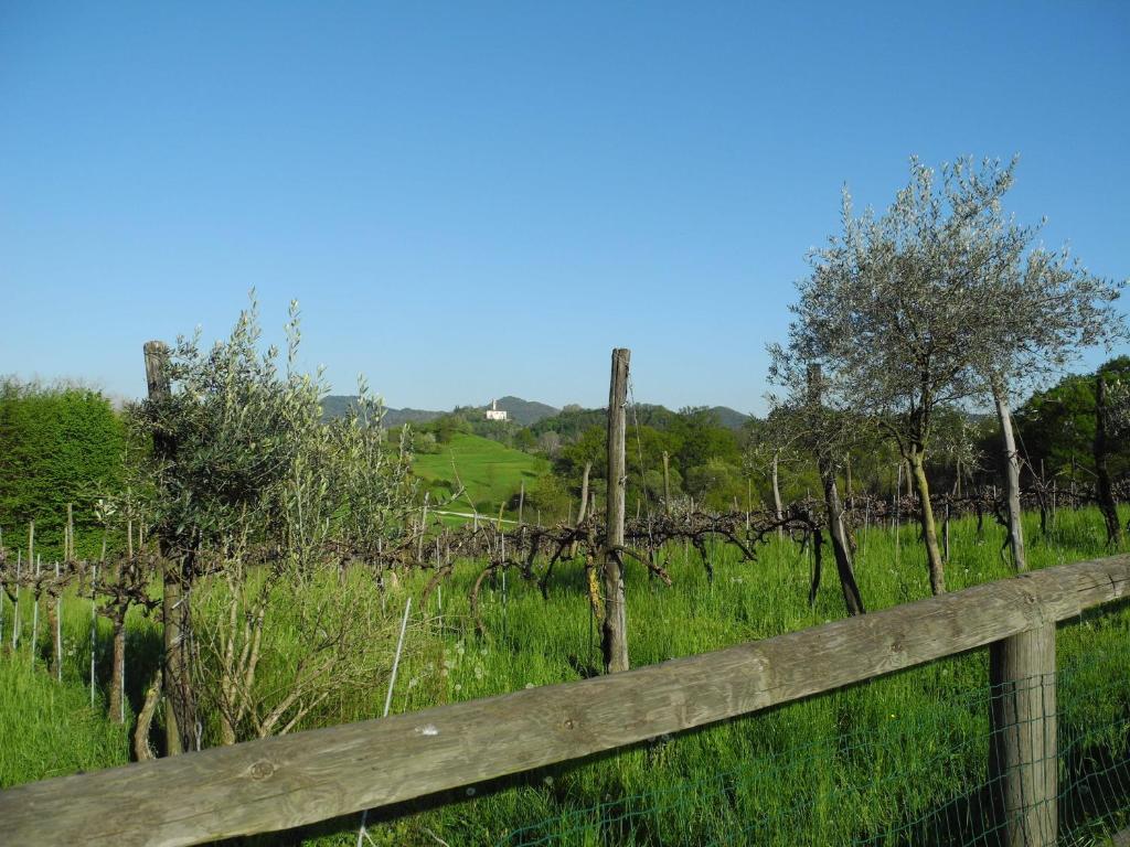 Agriturismo Cornolere Villa Castelcucco ภายนอก รูปภาพ