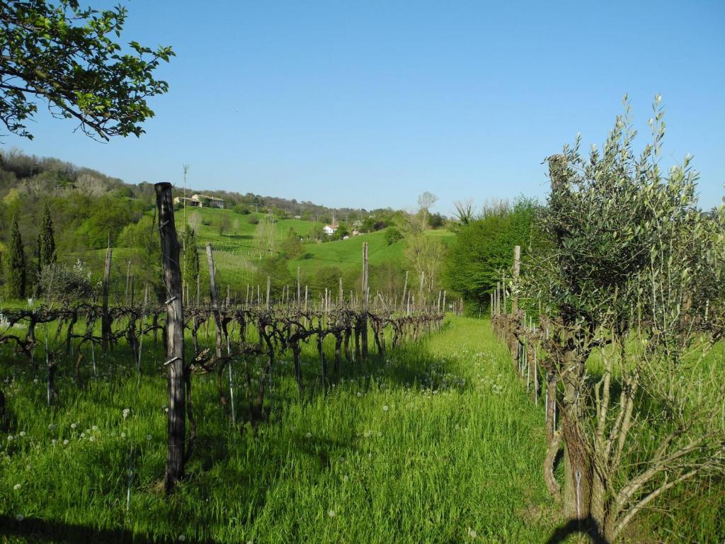 Agriturismo Cornolere Villa Castelcucco ภายนอก รูปภาพ